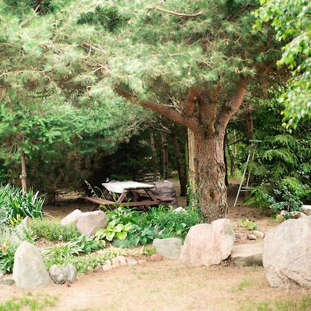 コウチェボ Daglezja Vipヴィラ エクステリア 写真